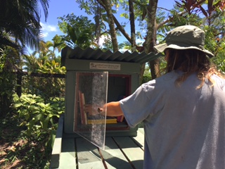 2017 Little Free Library start up